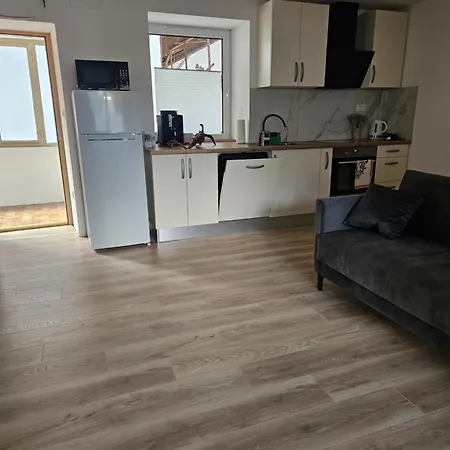 Apartma Zora شقة