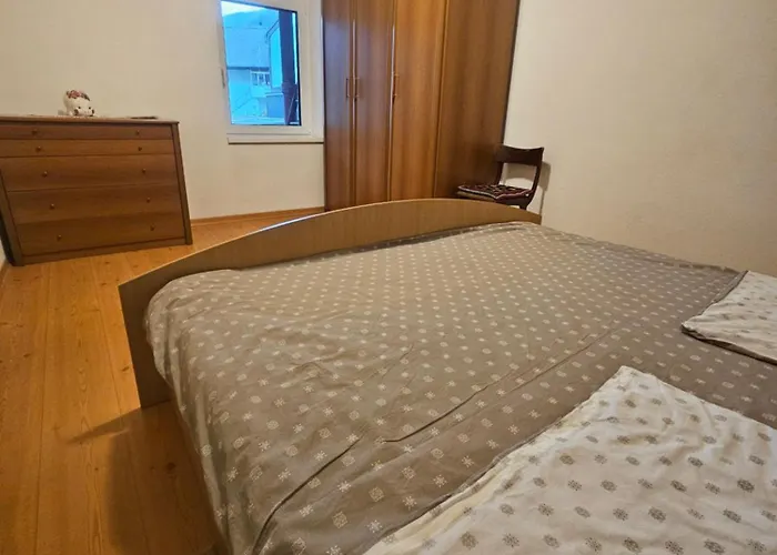 Apartma Zora 公寓 博维茨