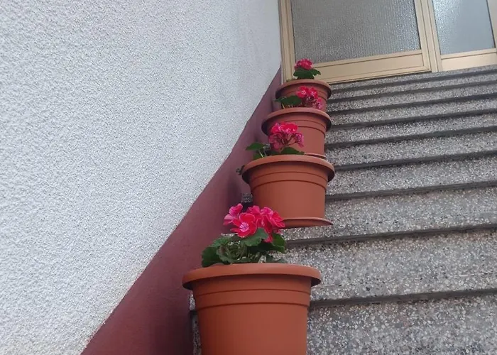 Apartma Zora Apartman Bovec