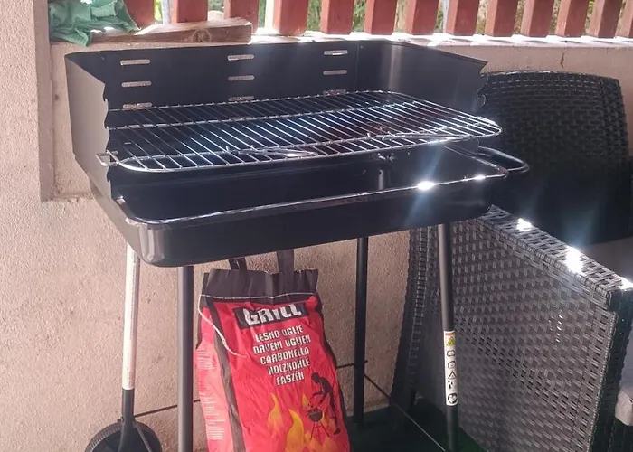 公寓 Apartma Zora 博维茨